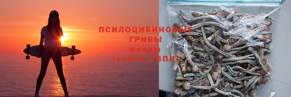 Альфа ПВП Абаза