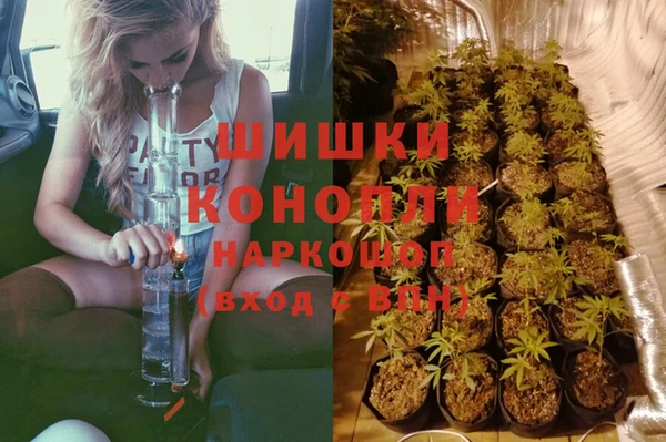 Альфа ПВП Абаза