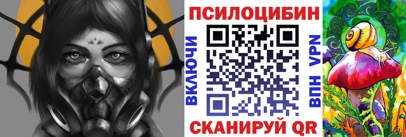 закладка Агрыз Галлюциногенные грибы Cubensis
